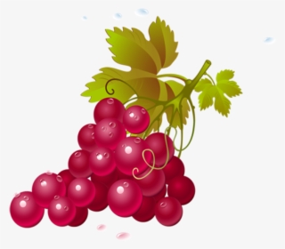 Grapes Fruits Png Transparent Images Clipart Icons - Jean Michel Brouard Vin