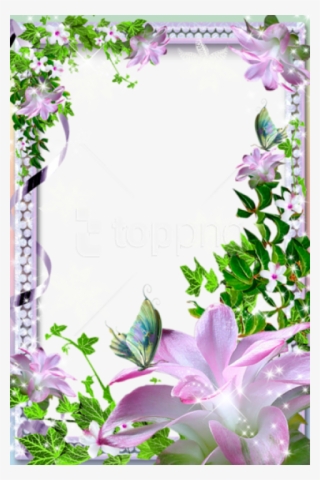 Free Png Best Stock Photos Beautiful Transparent Photo - Beautiful Flower Photo Frames