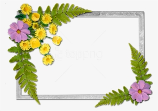 Free Png Flowers Frame Background Best Stock Photos - Flowers Frame