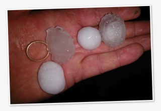 Golf Ball Sized Hail From The Thunderstorm - Hail