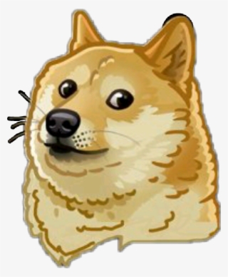 Doge Meme Dog Doggo Funny Sticker Momo Png Mlg Pets - Doge Cartoon Avatar