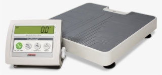 Scale