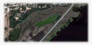 Gemini Springs Blueway - Aerial Photography