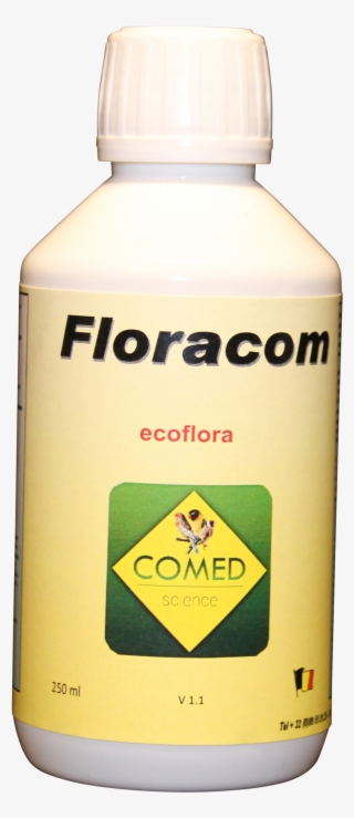 Floracom Bird - Plastic Bottle