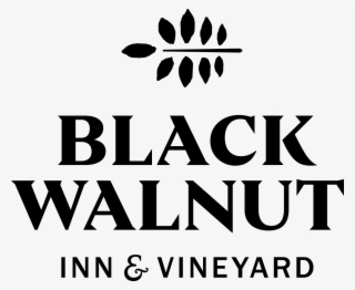 Black Walnut Vineyard - Graphic Design