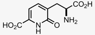Acromelobinic Acid - 7 8 Dihydroxycoumarin