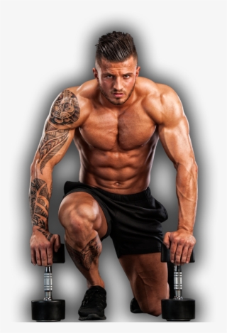 Collection Of Free Drawing Muscles Mens Arm - افزایش وزن با بدنسازی