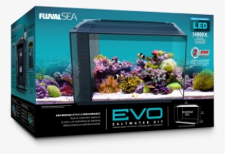 Fluval Evo Aquarium