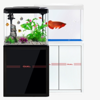 Fish Tank Form - Aquarium