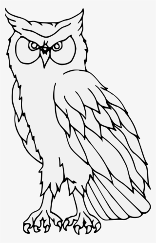 Details, Png - Eastern Screech Owl