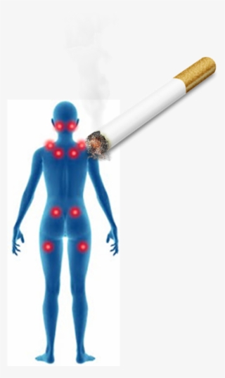 Cigarette Png Transparent Background