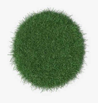 Easy To Install Yourself - Chlorophyta