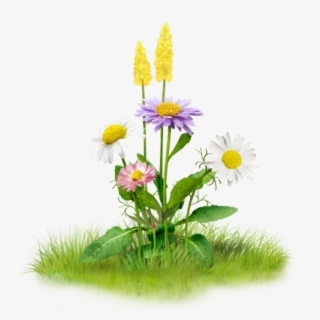 Fotki Planting Flowers, Flowers Garden, Garden Grass, - Nature Png