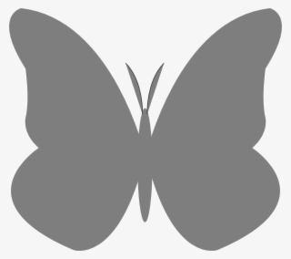 Butterfly Png