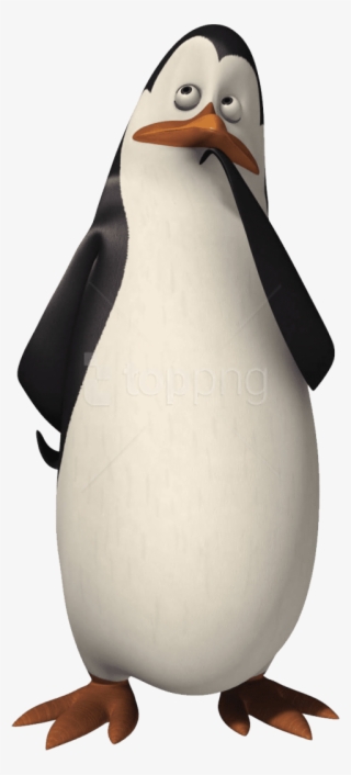 Download Madagascar Penguin Clipart Png Photo - Kowalski Pinguinos De Madagascar