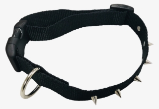 Strap