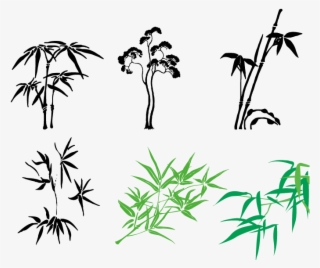 Bamboo Vector Illustrator - Vector Graphics