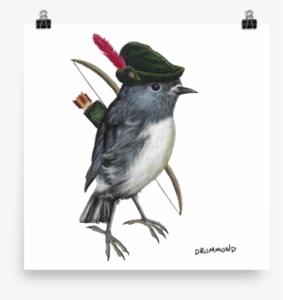 South Island Robin Hood - Robin Bird With A Robin Hood Hat