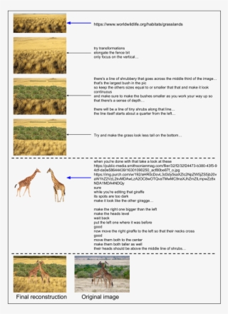 Human Compression Process For The Giraffe Image - Giraffe