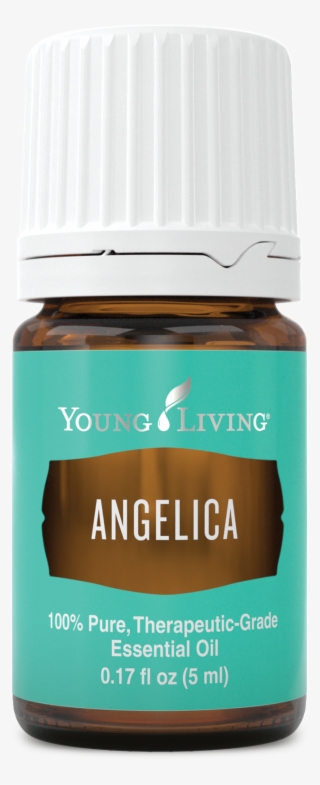 Angelica - Young Living Blue Tansy Png Transparent PNG - 690x1850 ...