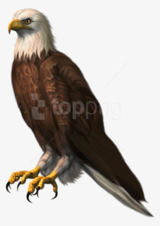 Free Png Download Eagle Transparentpicture Png Images - Eagle Png For Picsart