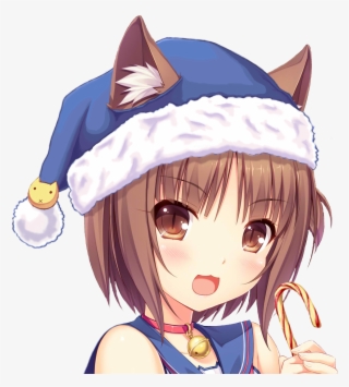 beans with a hat transparent , - ネコ ぱら アズキ