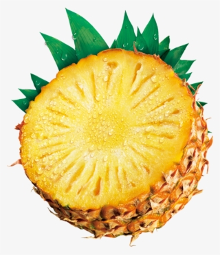 Visit - Fruit