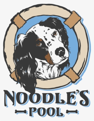 About Noodle - Cocker Spaniel