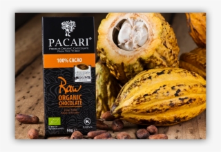 Raw100 V=1548772453 - Pacari 100 Cacao