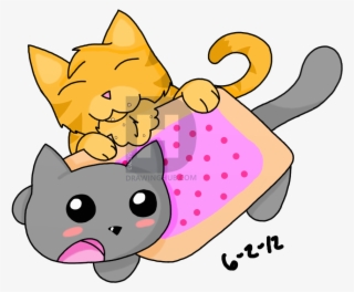 Nyan Cat Semi Normal Cat Drawing Allys Drawinghub Nyan - Cat