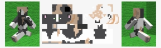 Minecraft Skin Request - Cartoon