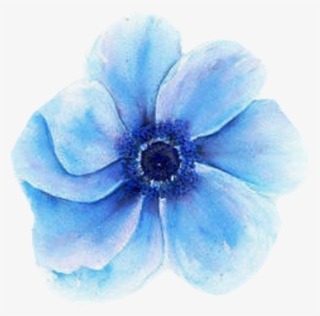 Transparent Blue Flower - Blue Watercolor Flower Transparent