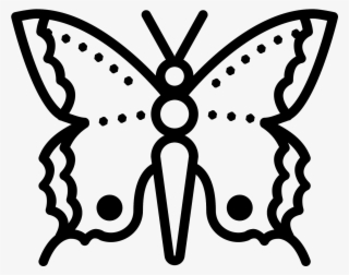 1600 X 1600 2 - Swallowtail Butterfly