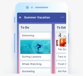 Information At A Glance - Surfing