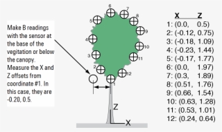 Software To Compute Distances And Lai For The Shrub - Diagram