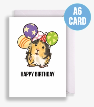 Tricolour Abyssinian Guinea Pig With Balloons Birthday - Happy Birthday Guinea Pig Card