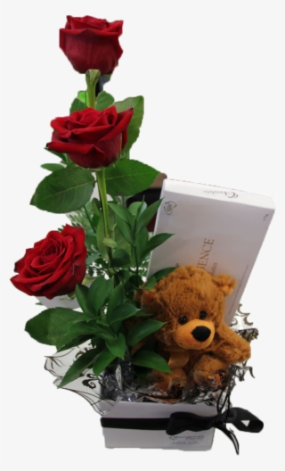 A-teddy And I Love You - Garden Roses