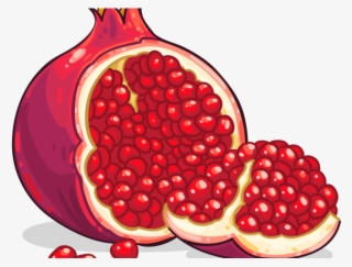 Pomegranate Clipart High Resolution - Pomegranate Clipart Png