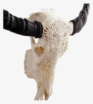 Carved Buffalo Skull - Ganesha
