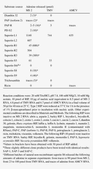Effect Of Various Rip On Viral Genomic Rnas Of Ms 2, - Virus