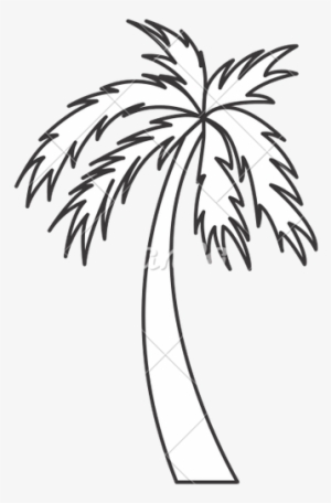 Black And White Palm Tree Travel Beach Icon - Palm Tree Icon Transparent In White