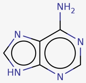 ), Bdbm181146 - Methyl Adenin