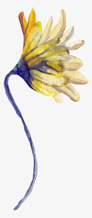 Png De Ornamentação Transparente Para Flores Florais - Sunflower