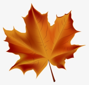 Autumn Background PNG & Download Transparent Autumn Background PNG Images  for Free - NicePNG