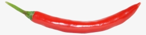 Chilli Png Download - Single Red Chilli Png