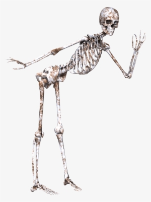 skeleton posing - bone