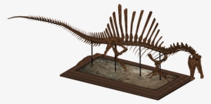 Spinosaurus Skeleton - Zt2 Dinosaur Skeletons