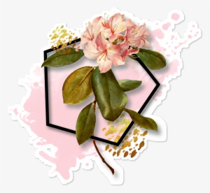French Botanical Pink Flower Queen Duvet