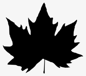 Free Download - Maple Leaf Silhouette Png