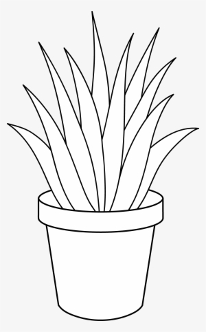 Aloe Vera Plant Line Art - Plants Art Black And White
